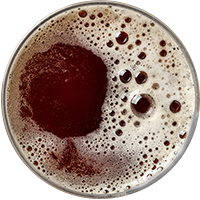 https://tam-brew.store/wp-content/uploads/2017/05/beer_transparent_02.png